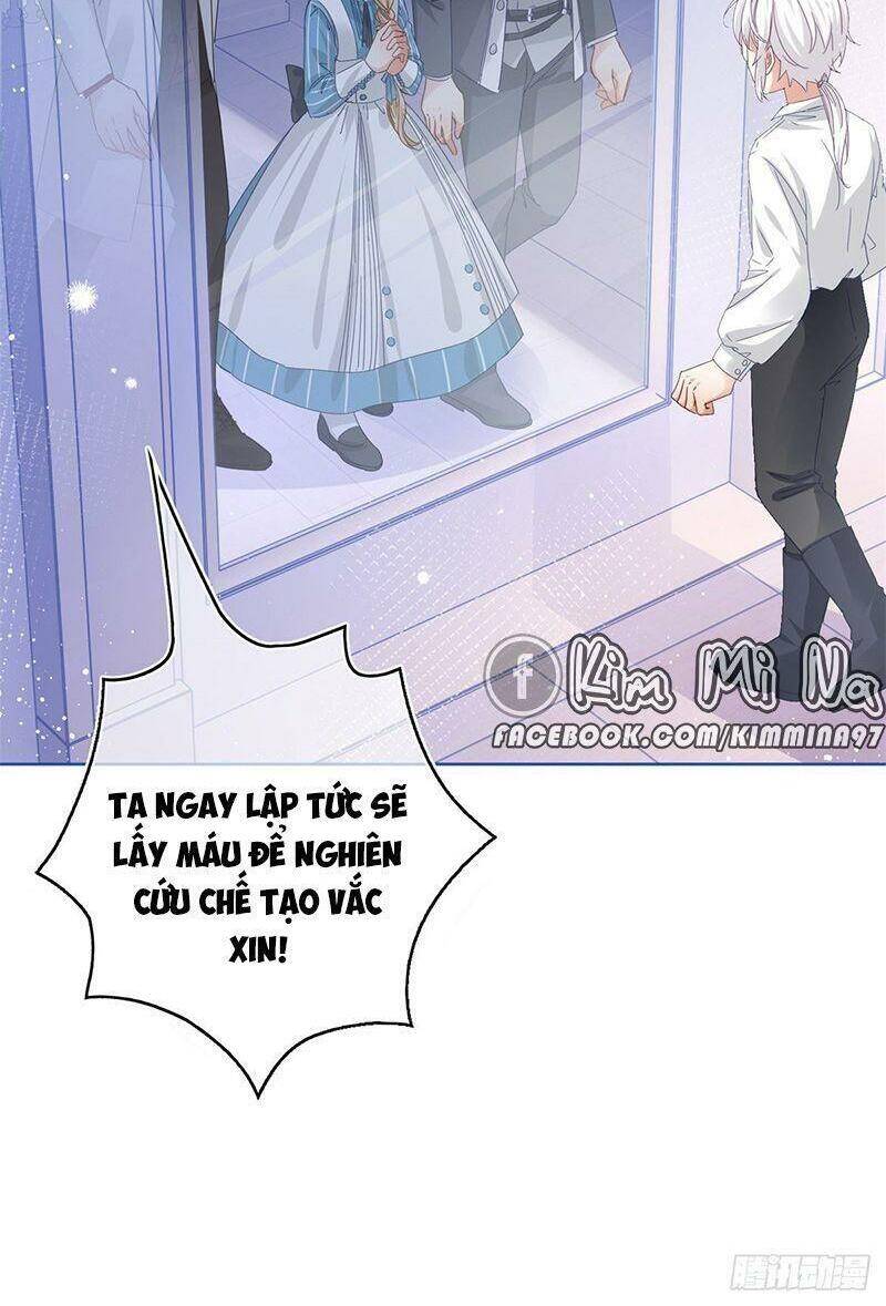 Chapter 41