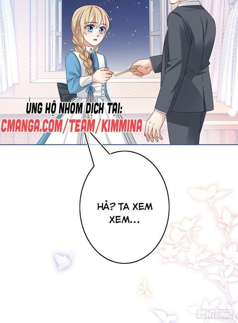 Chapter 41