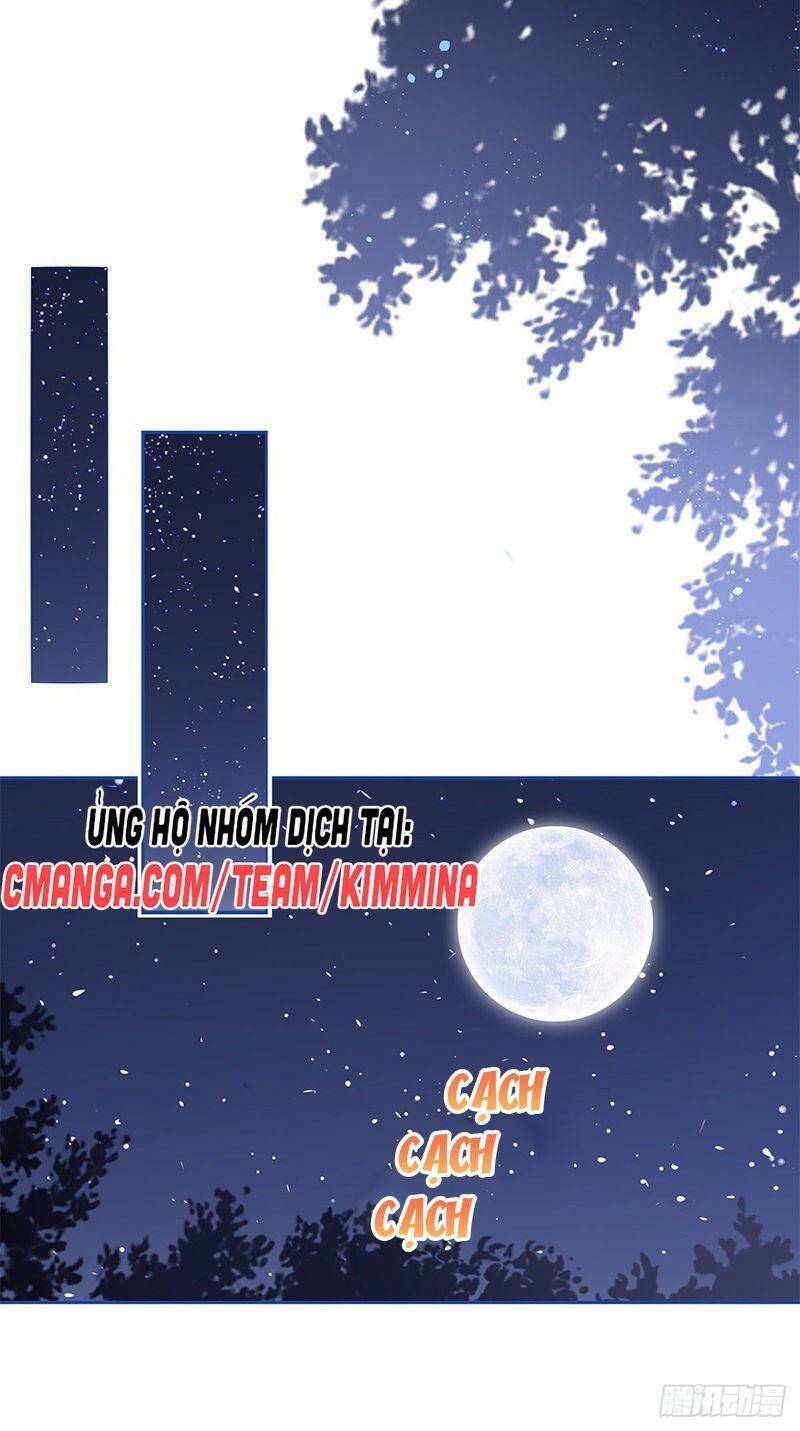 Chapter 47