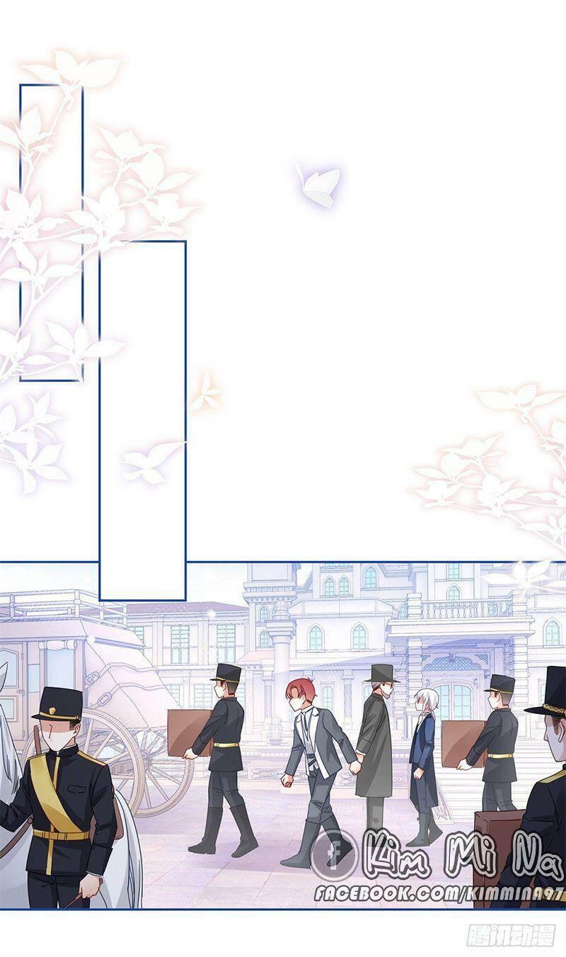 Chapter 48