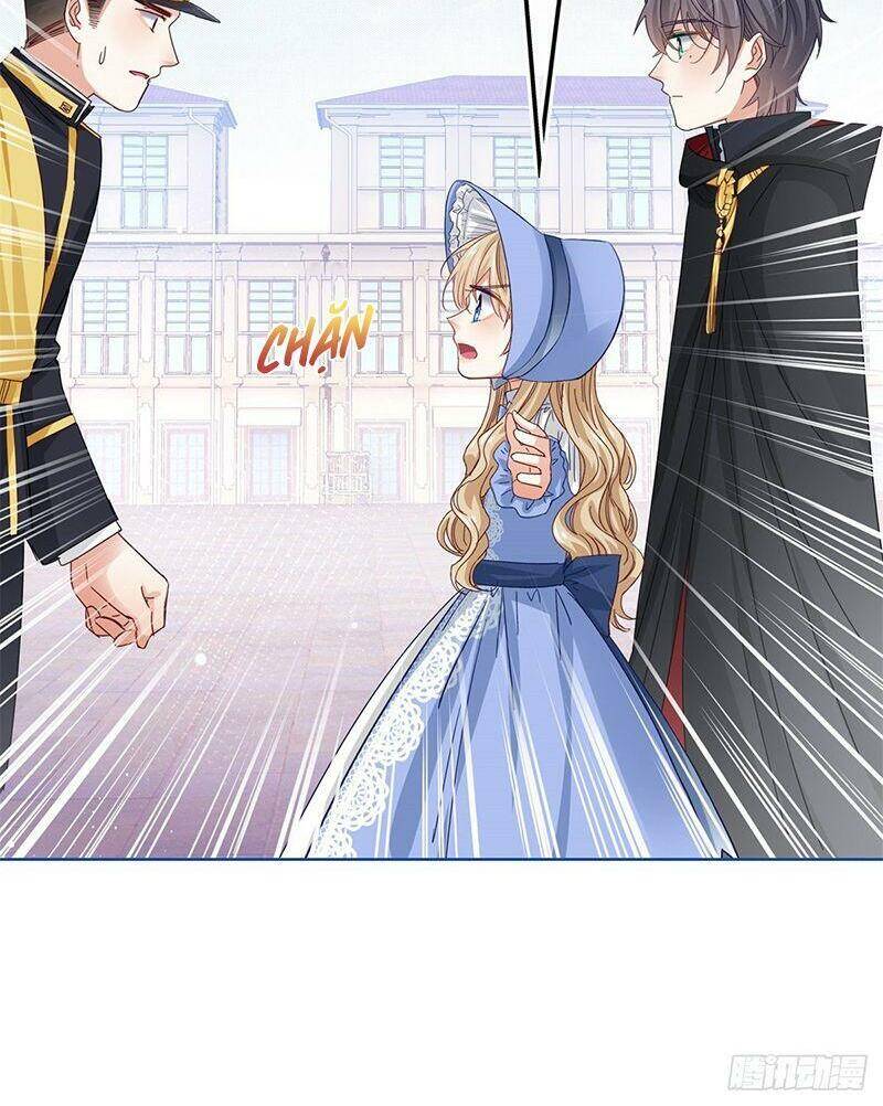 Chapter 48