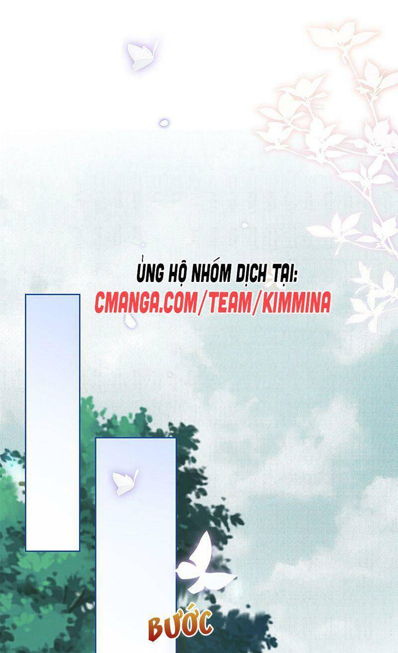 Chapter 48