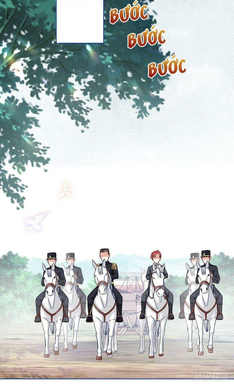 Chapter 48