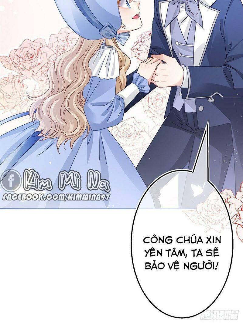 Chapter 48