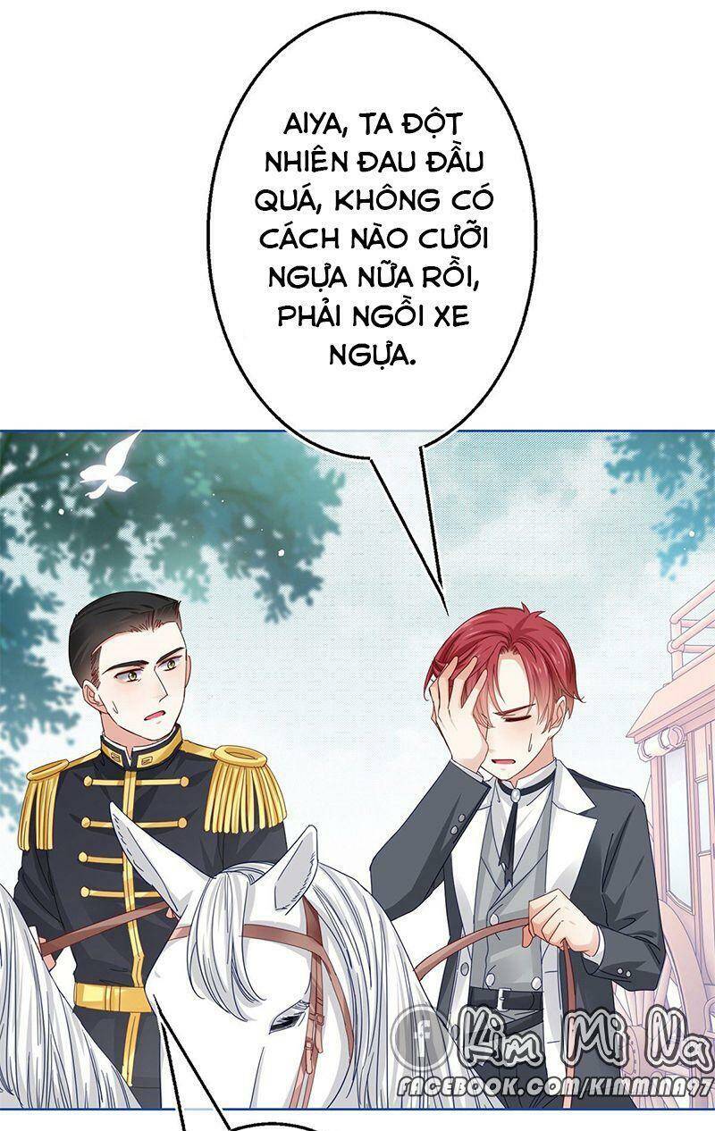 Chapter 48