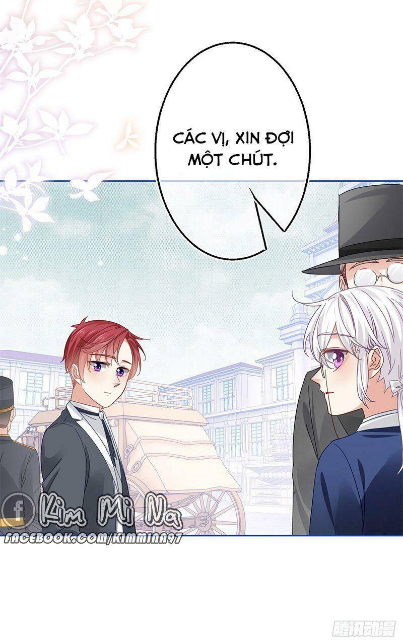 Chapter 48