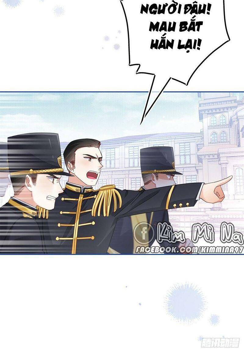 Chapter 48