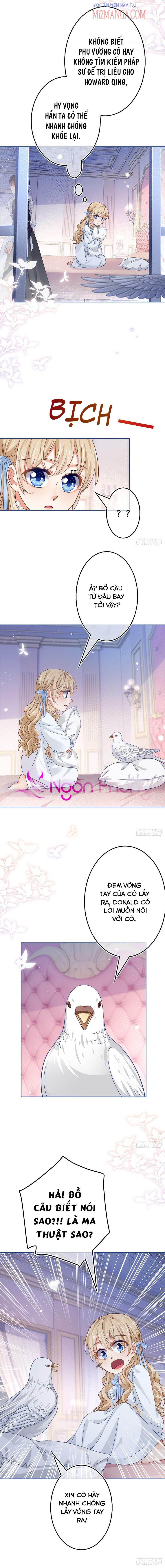 Chapter 51