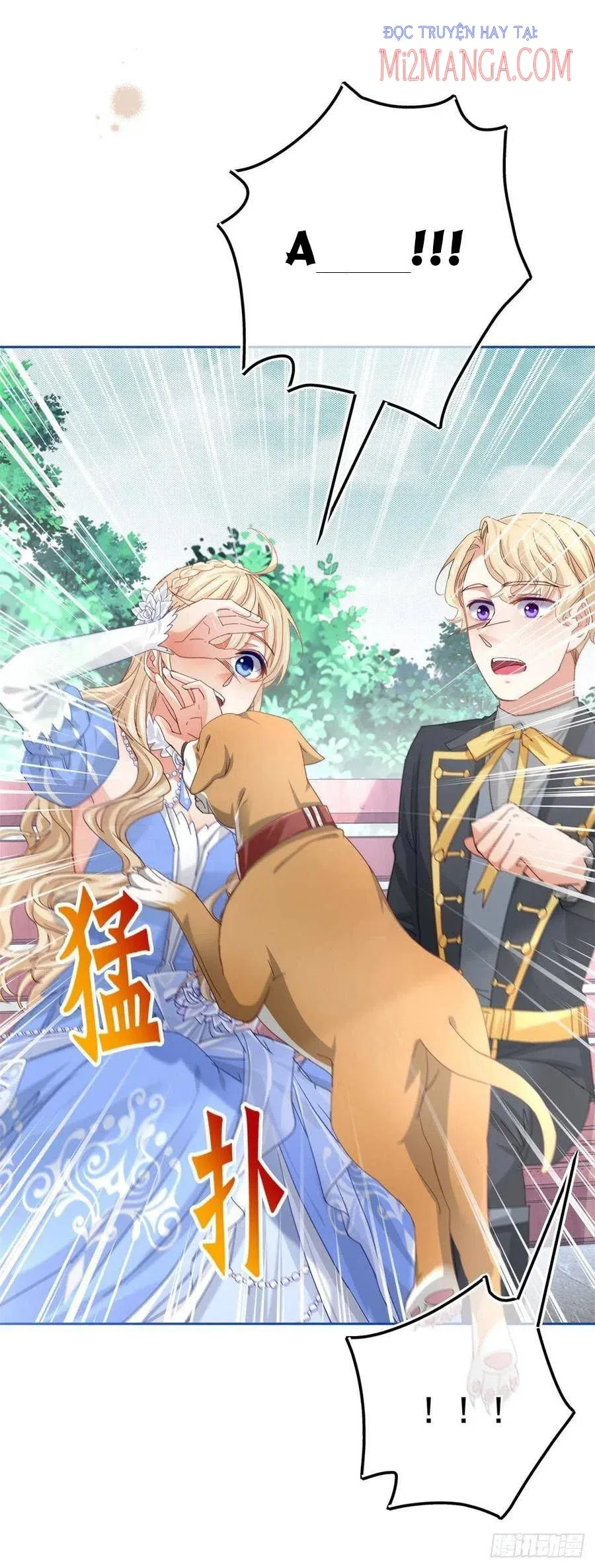 Chapter 62