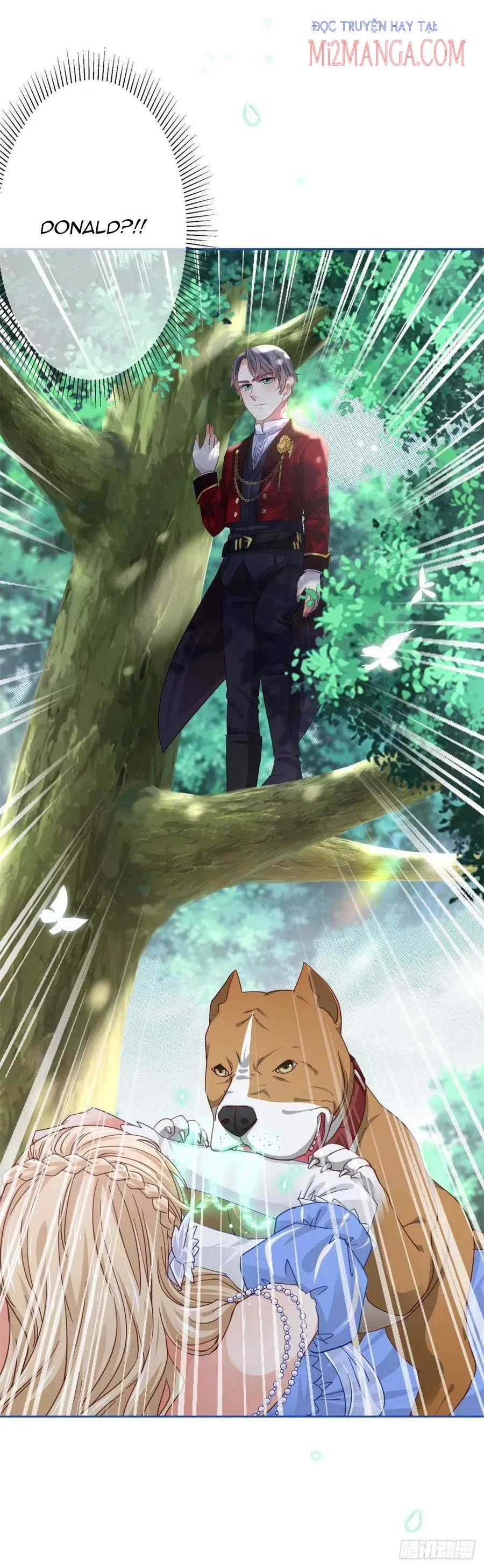 Chapter 62