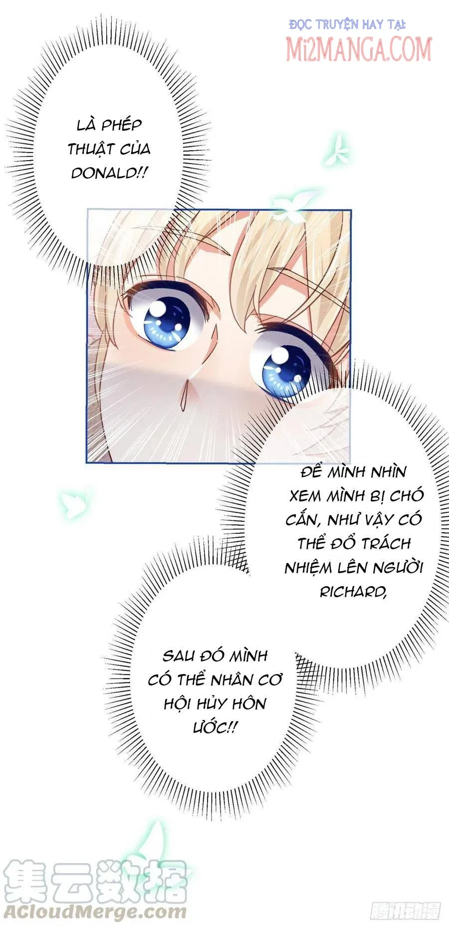 Chapter 62