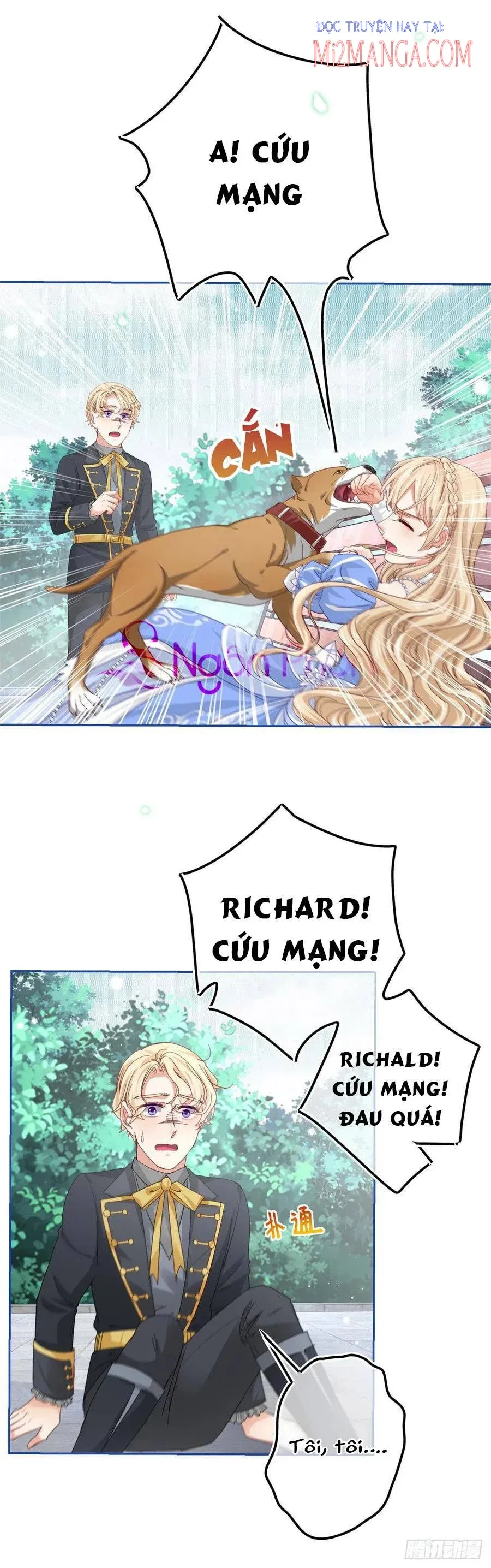 Chapter 62