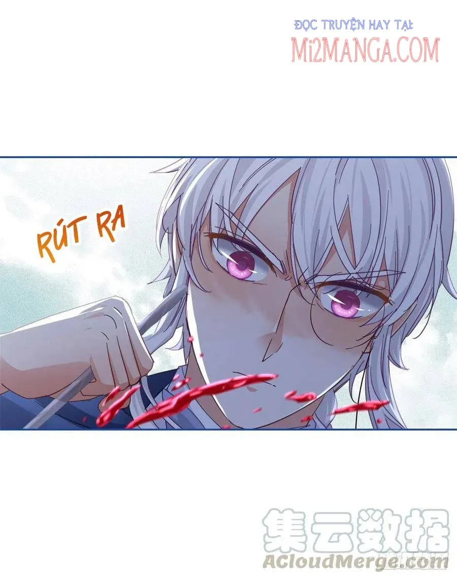 Chapter 62