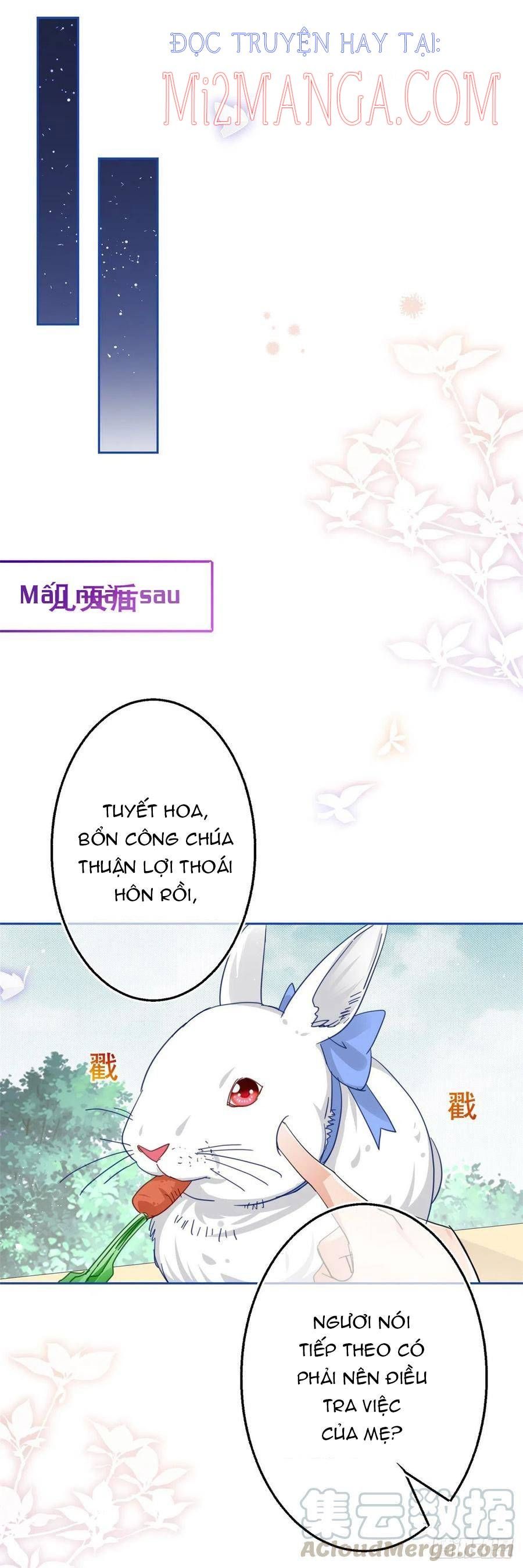 Chapter 65