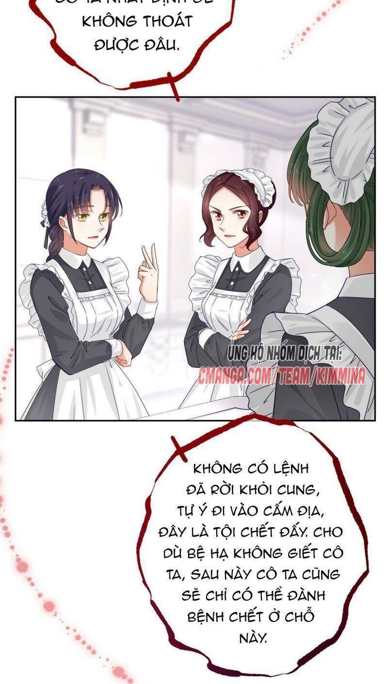 Chapter 7
