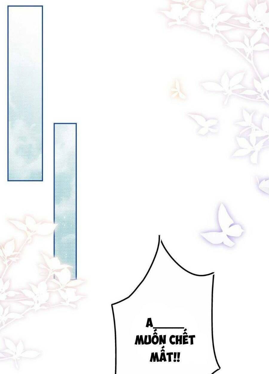 Chapter 78