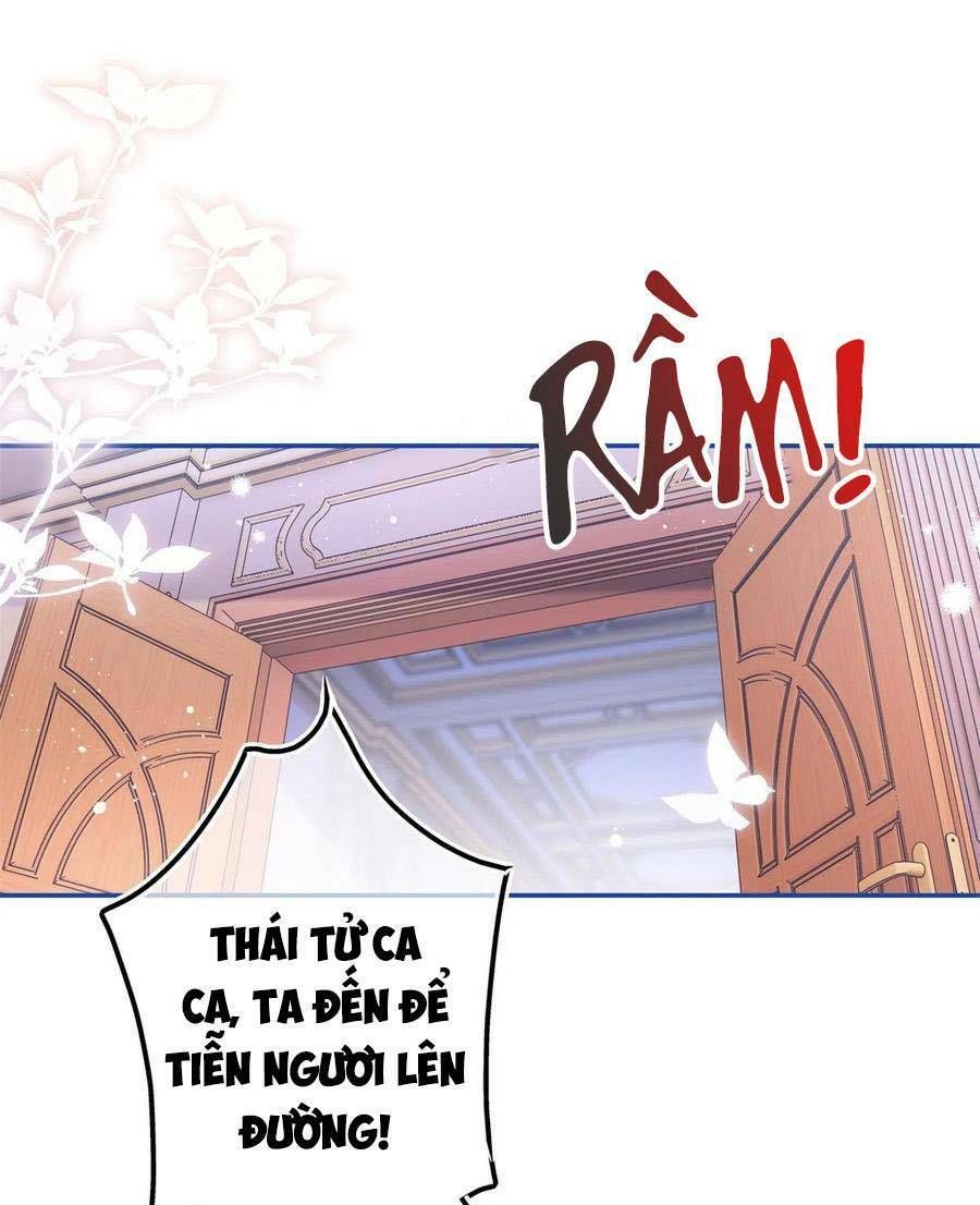 Chapter 85