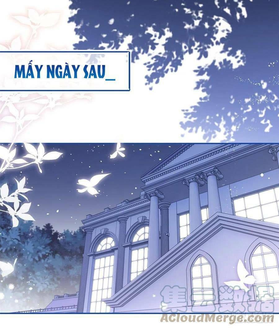 Chapter 85