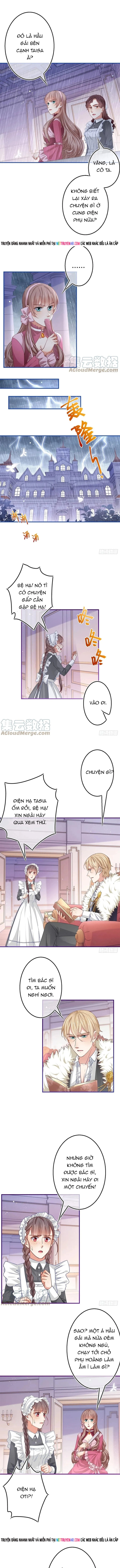 Chapter 95