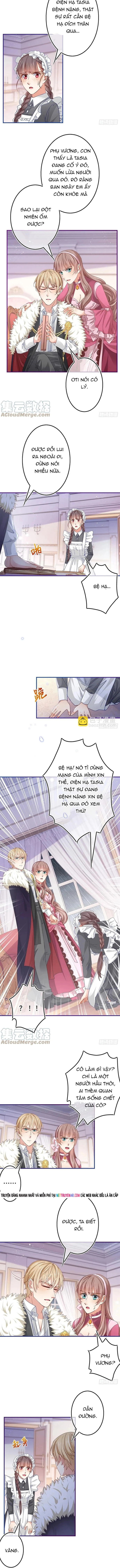 Chapter 95