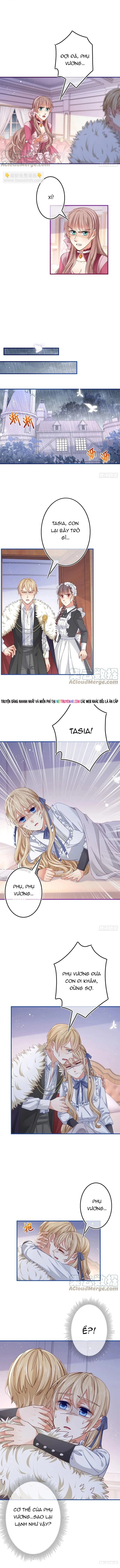 Chapter 95