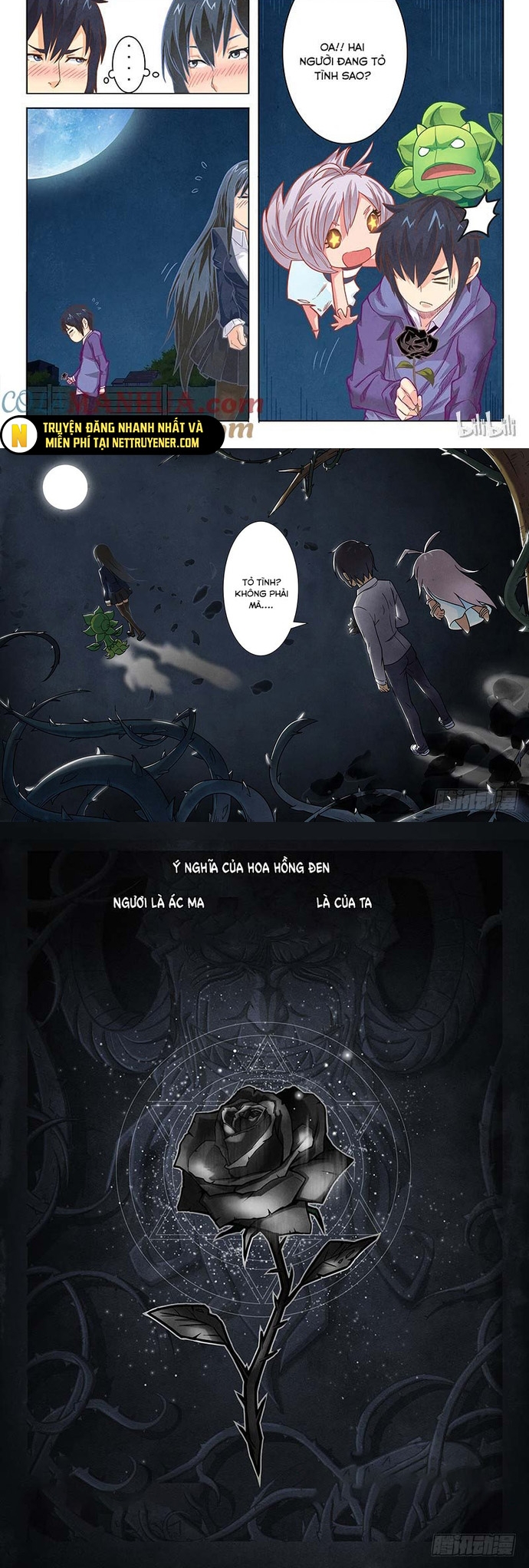 Chapter 11