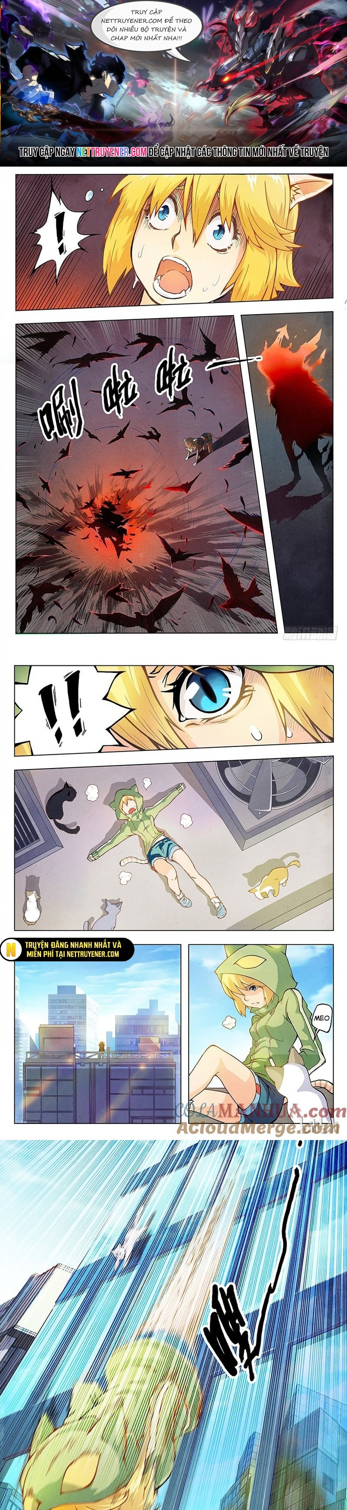 Chapter 12