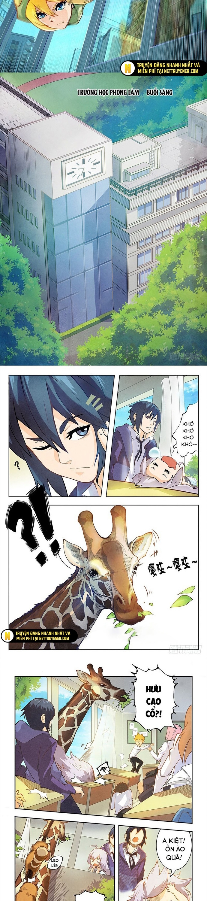 Chapter 12