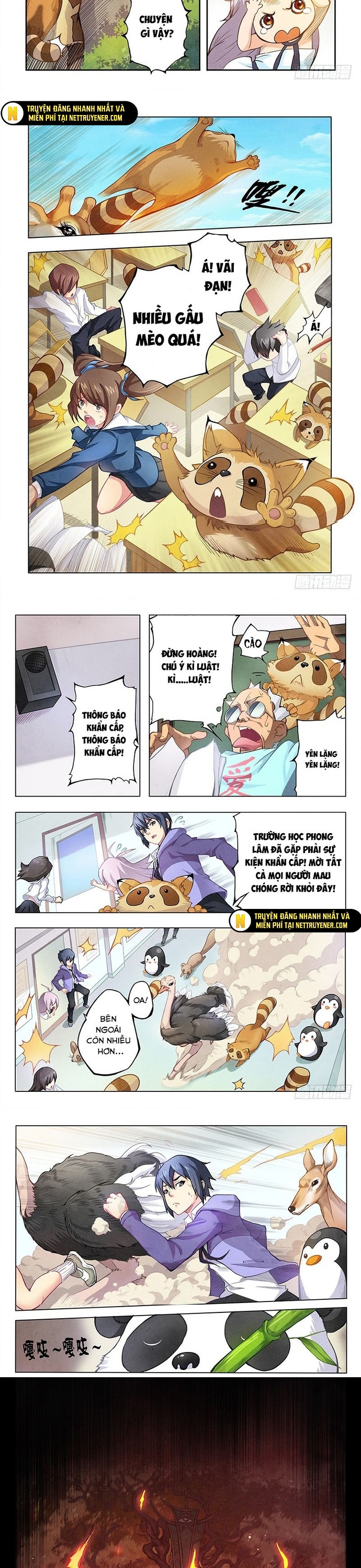 Chapter 12