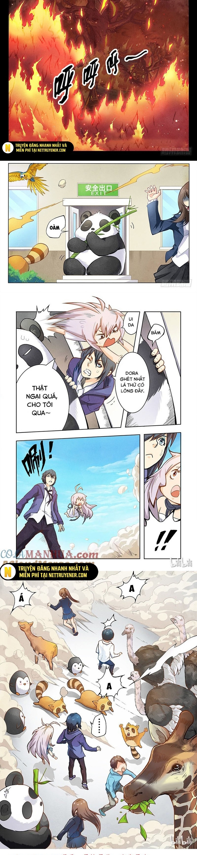 Chapter 12