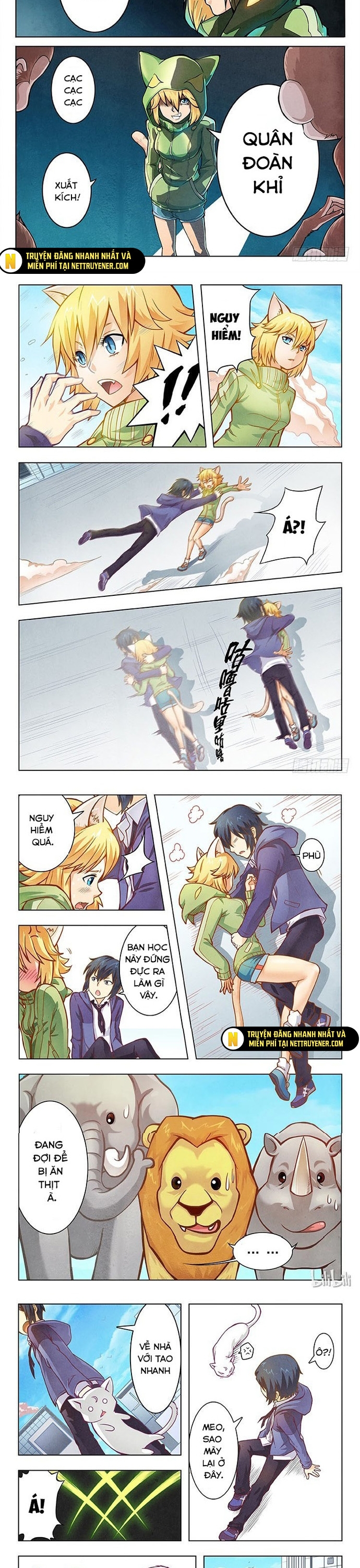 Chapter 13