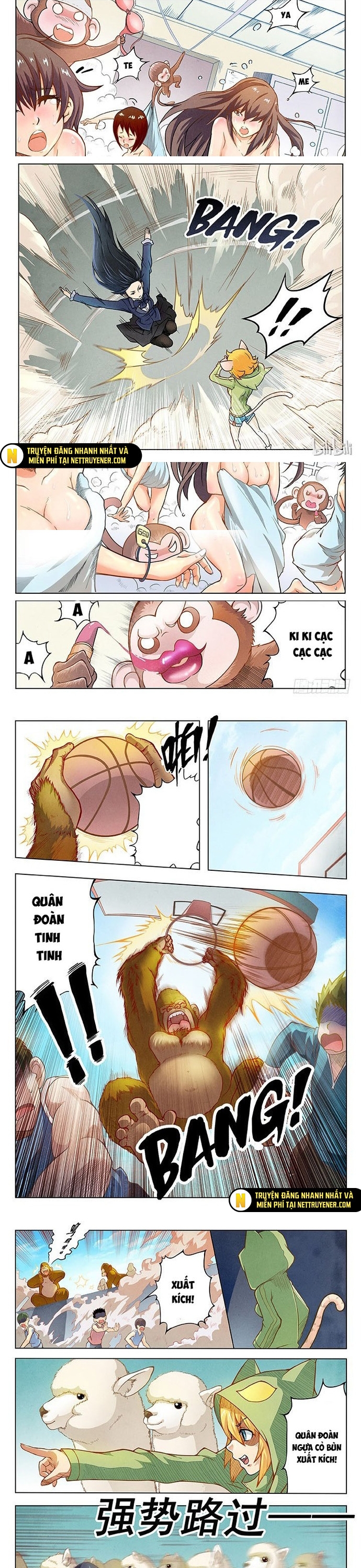 Chapter 13