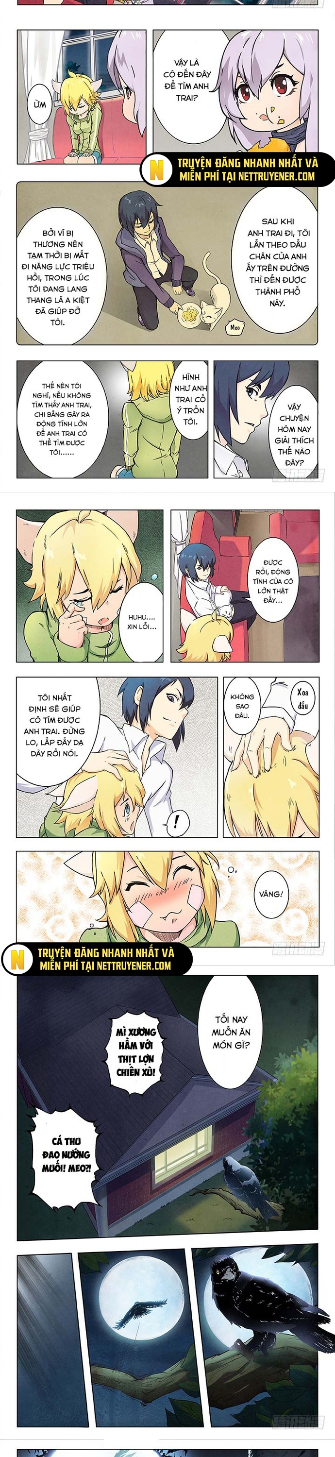 Chapter 17