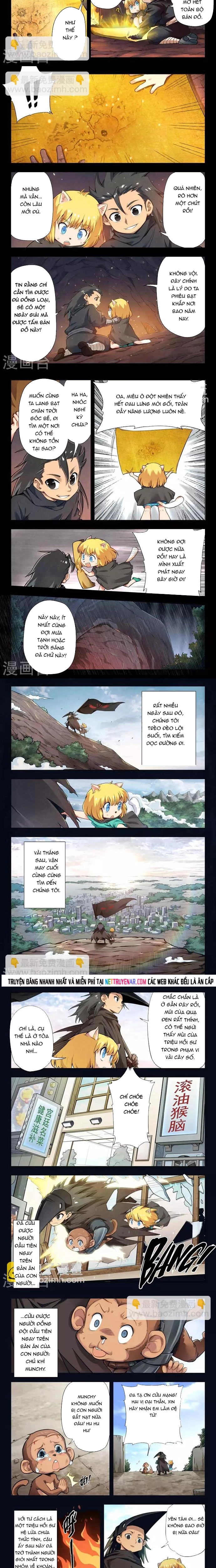 Chapter 203