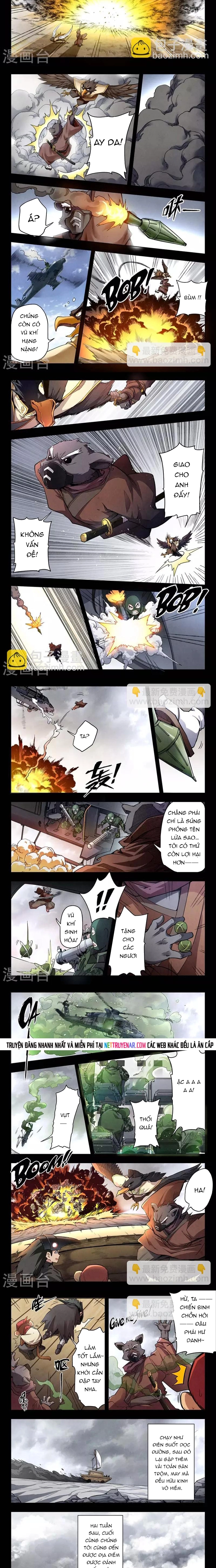 Chapter 209