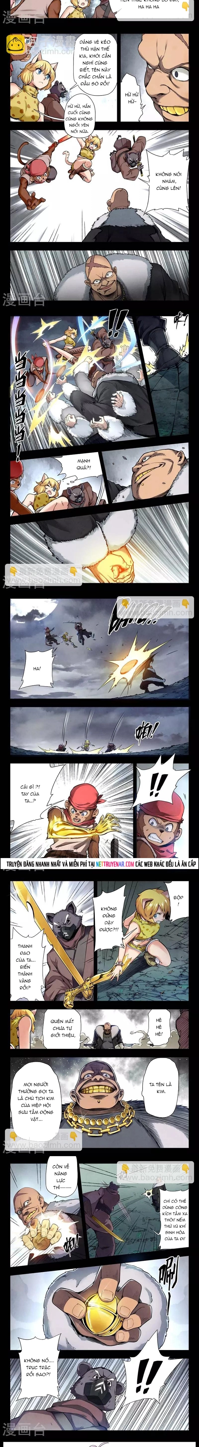 Chapter 213