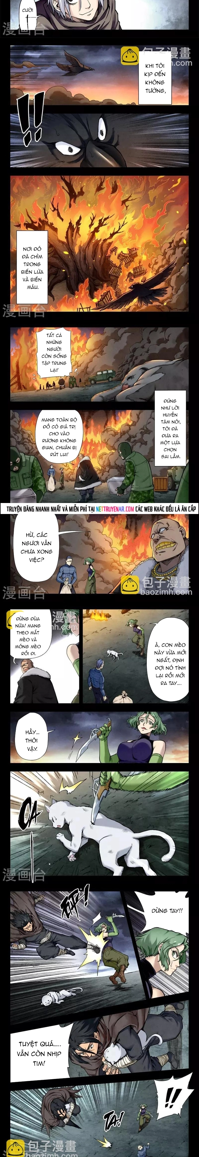 Chapter 217