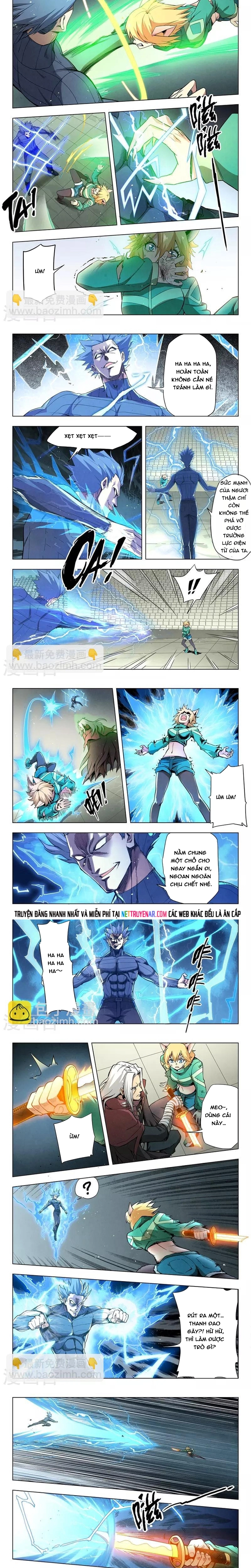Chapter 223
