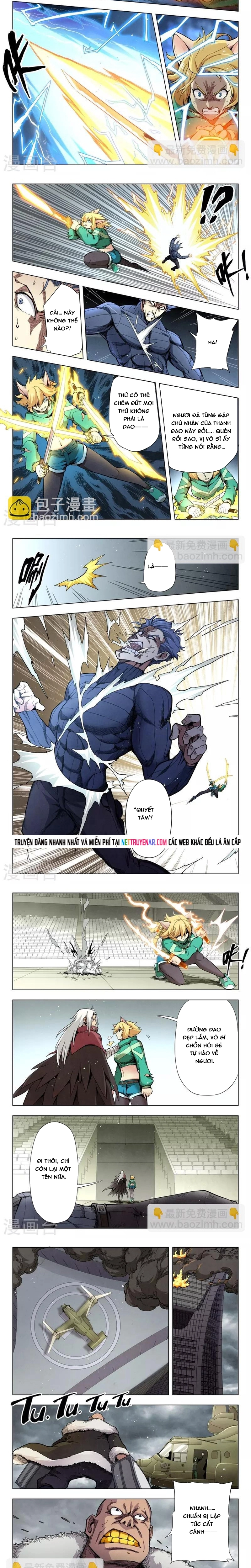 Chapter 223