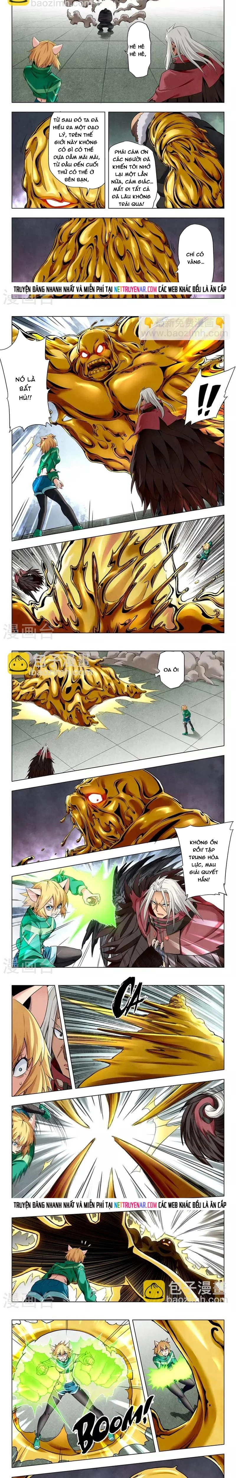 Chapter 224