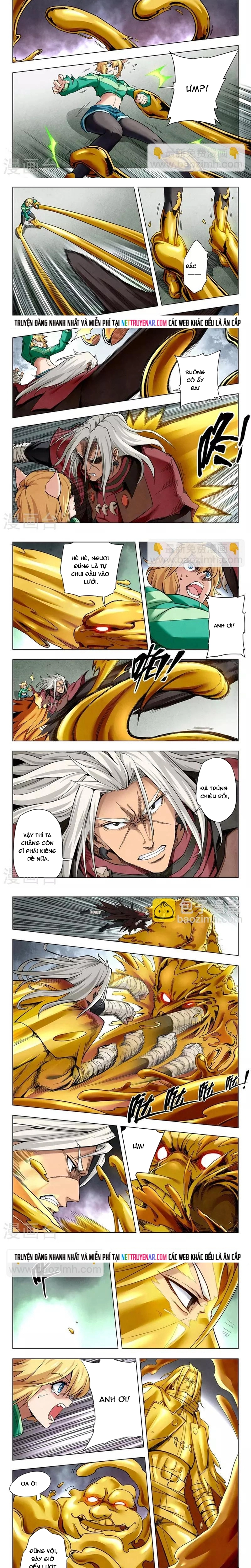 Chapter 224