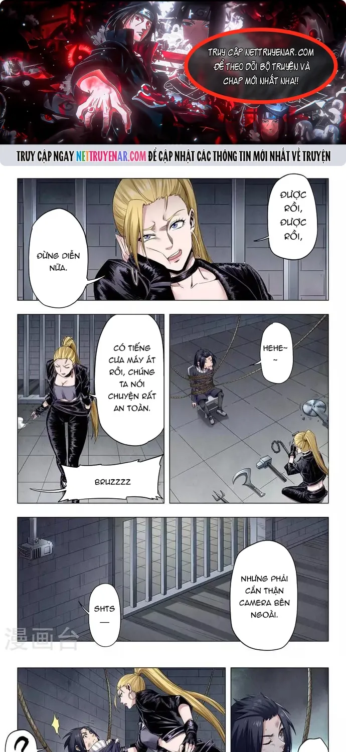 Chapter 239