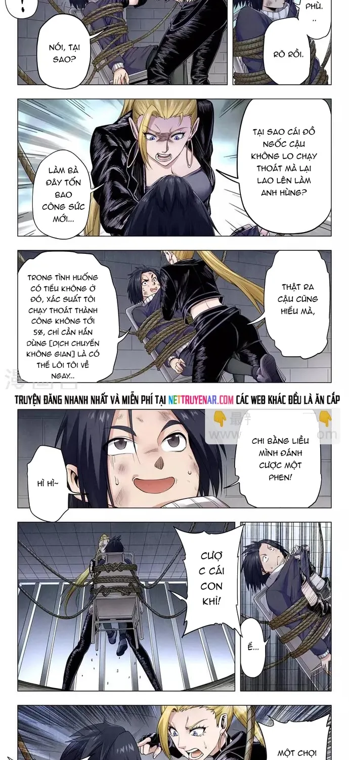 Chapter 239