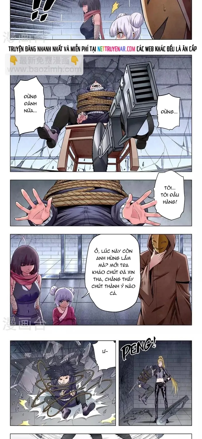 Chapter 239