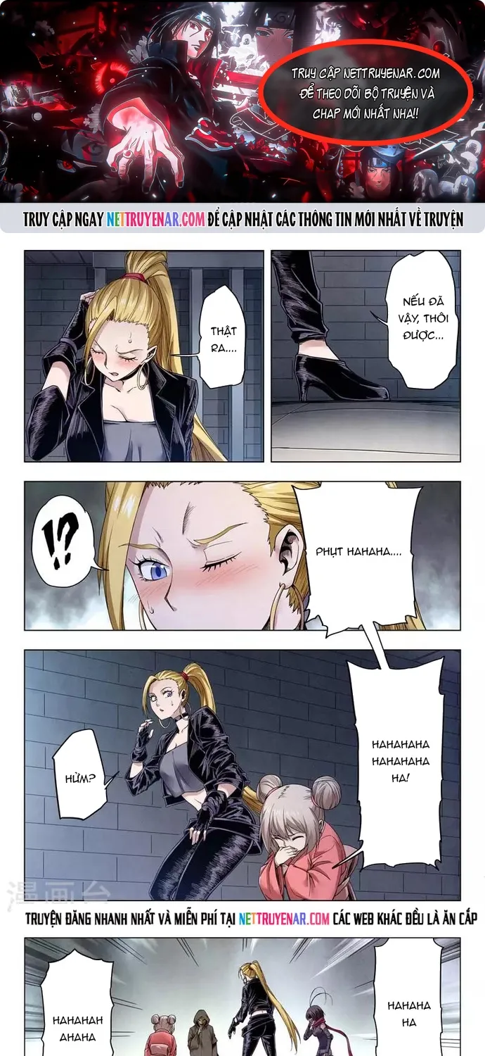 Chapter 241