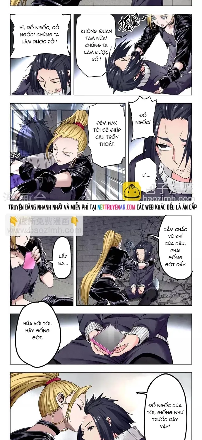 Chapter 241
