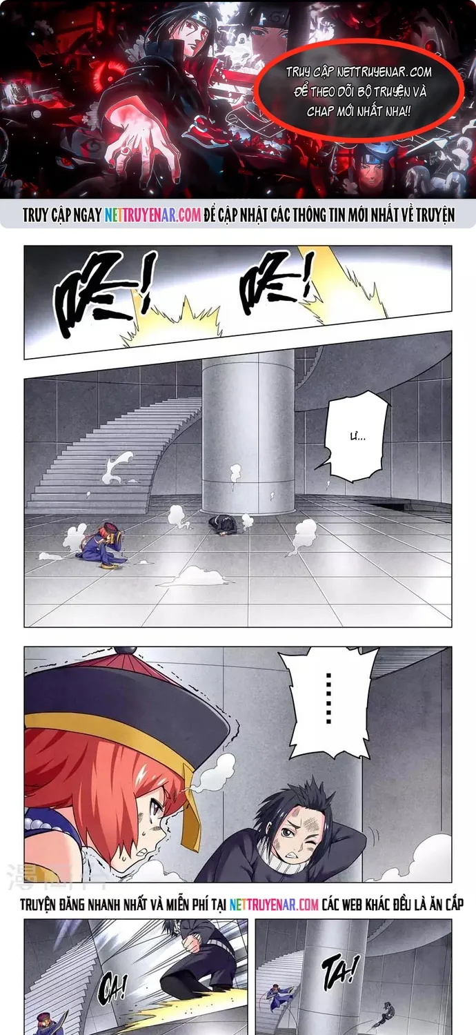 Chapter 242
