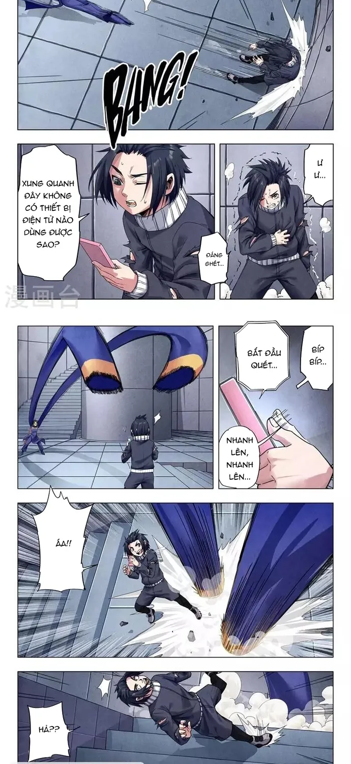 Chapter 242