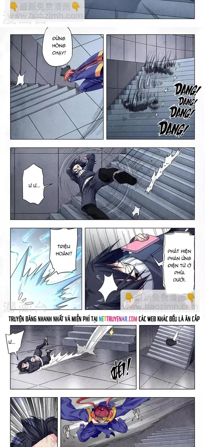 Chapter 242
