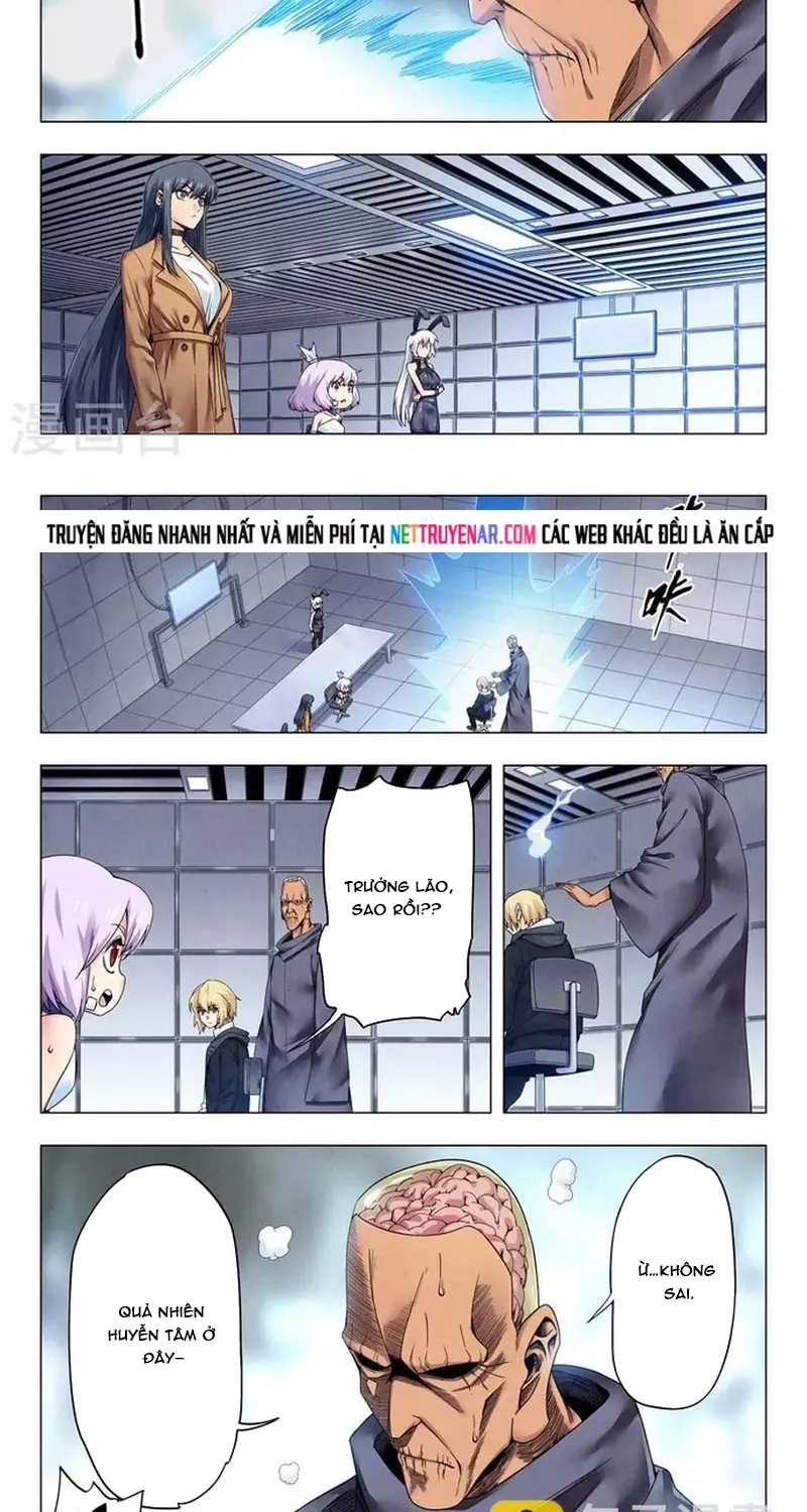 Chapter 244